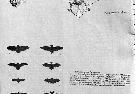 01 Jan - Feb Page 06